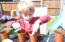 Ollie planting sunflower seeds